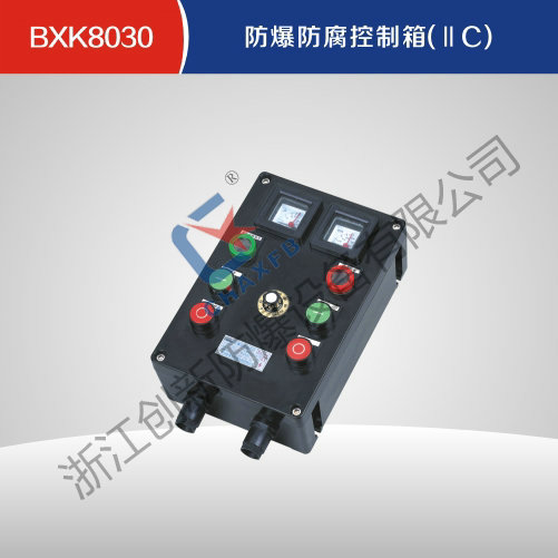 BXK8030防爆防腐控制箱(IIC)